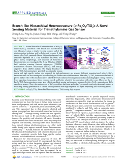 Branch-like Hierarchical Heterostructure (&alpha;-Fe2O3/TiO2)