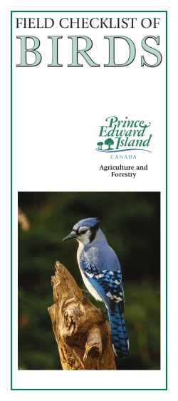 FIELD CHECKLIST OF BIRDS