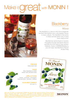 Monin Blackberry Syrup