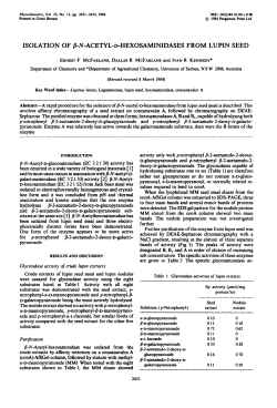 ISOLATION OF /3-N-ACETYLaHEXOSAMINIDASES FROM LUPIN