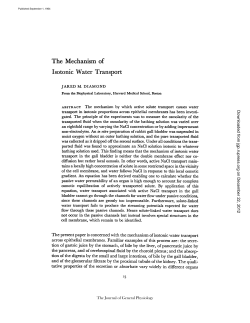 The Mechanism of Isotonic Water Transport