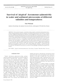 Survival of `atypical` Aeromonas salmonicida in water and sediment