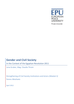 2 Gender and Civil Society