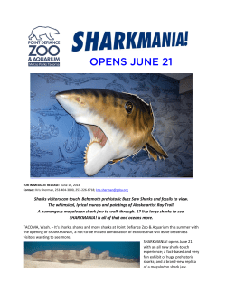 Sharks visitors can touch. Behemoth prehistoric Buzz Saw Sharks