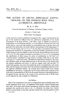 choline, on the annelid body wall