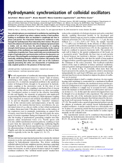 Hydrodynamic synchronization of colloidal oscillators
