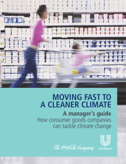 Moving Fast to a Cleaner Climate