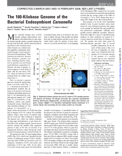 The 160-Kilobase Genome of the Bacterial Endosymbiont