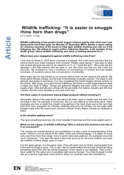 Article - European Parliament