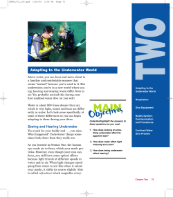 PADI Open Water Diver Course