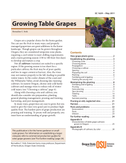 Growing Table Grapes - OSU Small Farms Program