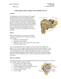 Arthroscopic Labrum Repair of the Shoulder (SLAP)