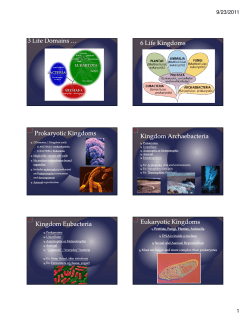 3 Life Domains &hellip; 6 Life Kingdoms Prokaryotic Kingdoms Kingdom