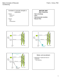 Basic Concepts of Muscular Conditioning