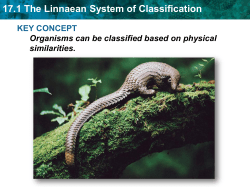 17.1 The Linnaean System of Classification