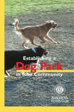 Dog Park Dog Park - American Kennel Club