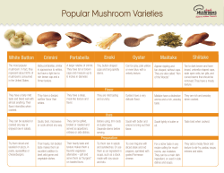 Popular Mushroom Varieties