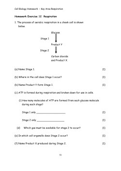 Homework Exercise 12 Respiration 1. The process of aerobic