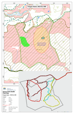 Spruce Bark Beetle Field Map Polygon Name: 2015-KLA-005