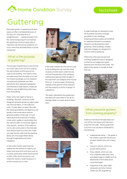 Guttering - Home Condition Survey