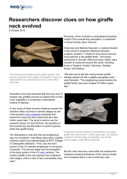 Researchers discover clues on how giraffe neck evolved