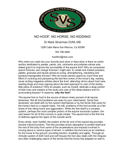 no hoof, no horse, no kidding! - Sporthorse Veterinary Services