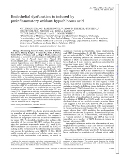 Endothelial dysfunction is induced by proinflammatory oxidant