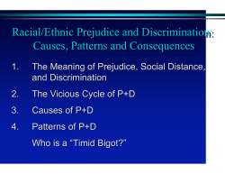 Racial/Ethnic Prejudice and Discrimination