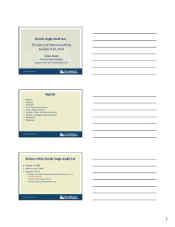 Florida Single Audit Act The Basics of Internal Auditing October 9