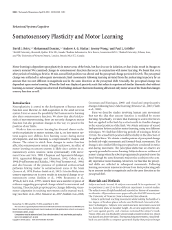 Somatosensory Plasticity and Motor Learning