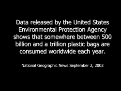 The Dangers of Plastic Bags