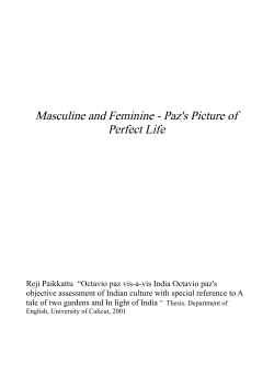 Masculine and Feminine - Paz`s Picture of Perfect Life