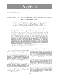 Kodiak brown bears surf the salmon red wave: direct evidence from