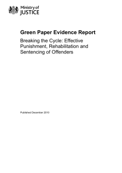 Green Paper Evidence Report - Breaking the Cycle