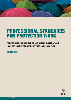 Professional Standards for protection work