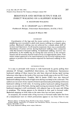 behaviour and motor output for an insect walking on a slippery surface