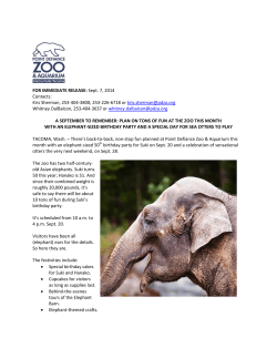 Plan on tons of fun at the Zoo this month with an