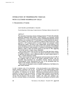 INTERACTION OF PHOSPHOLIPID VESICLES WITH CULTURED