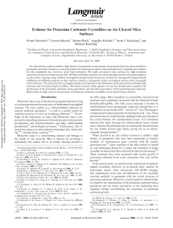 Evidence for Potassium Carbonate Crystallites