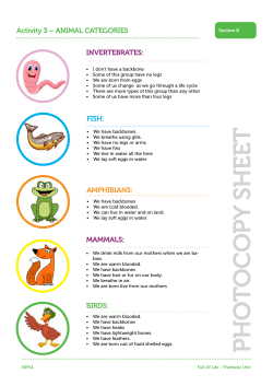 Full Of Life &ndash; Animal Categories List