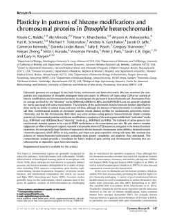 Plasticity in patterns of histone modifications and chromosomal