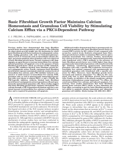 Basic Fibroblast Growth Factor Maintains Calcium Homeostasis and
