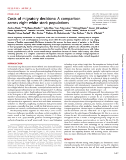 Costs of migratory decisions: A comparison across eight white stork