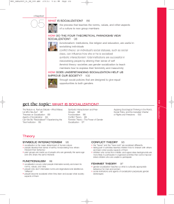 Theory get the topic:WHAT IS SOCIALIZATION?