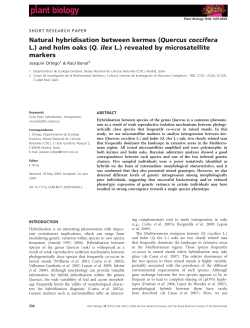 Q. ilex - Google Sites