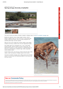 Spring brings diversity of jellyfish