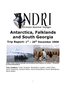 Indri Antarctica Dec..