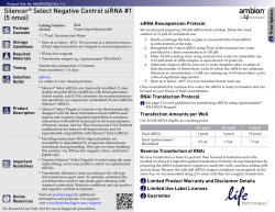 Silencer&reg; Select Negative Control siRNA #1 (5 nmol)