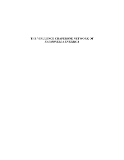 the virulence chaperone network associated with the spi