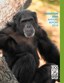houston zoo annual report 2010